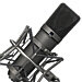 micro neumann